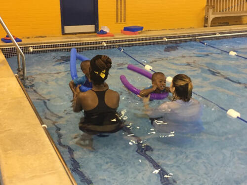 seahorse school of swimming gallery 25